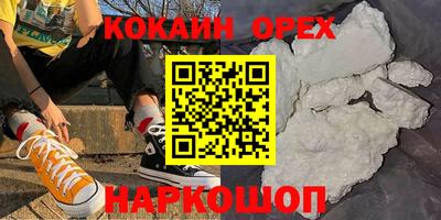 jwh Кингисепп