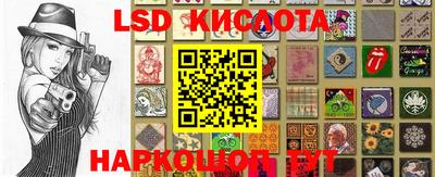 jwh Кингисепп