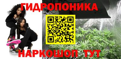 jwh Кингисепп