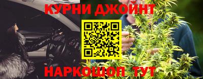 jwh Кингисепп