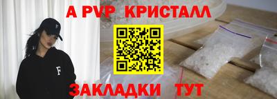 jwh Кингисепп