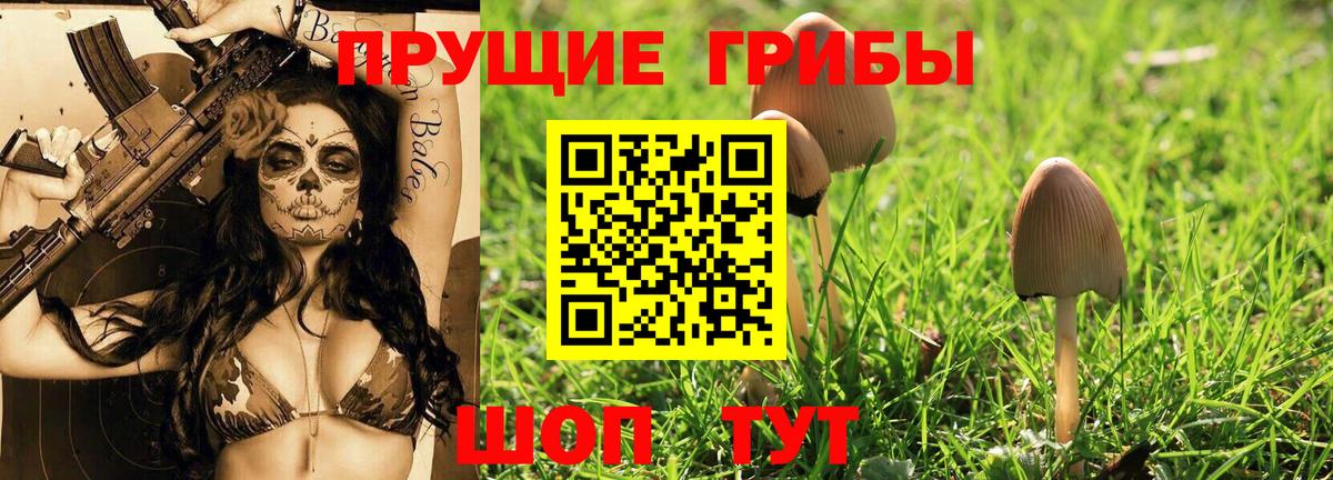 Псилоцибиновые грибы мицелий Изобильный
