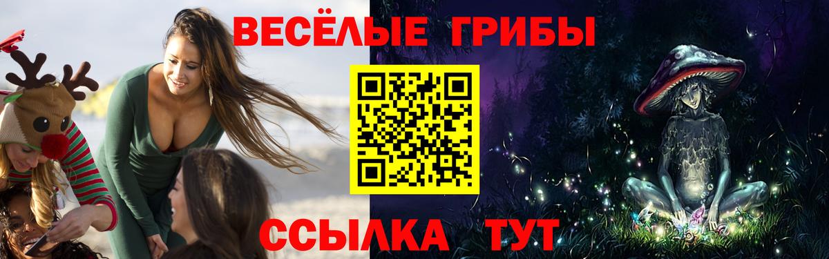 Изобильный  Псилоцибиновые грибы мицелий  Псилоцибиновые грибы мицелий  Вход с VPN 