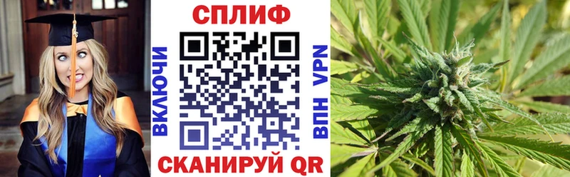 Бошки Шишки Amnesia купить закладку Изобильный